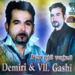 Demir Gashi